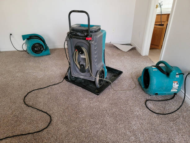 Best Ceiling water damage repair  in Lancaster, PA