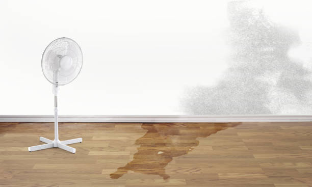Best 24/7 water damage repair  in Lancaster, PA