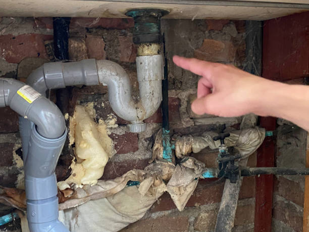 Best Mold removal after water damage  in Lancaster, PA