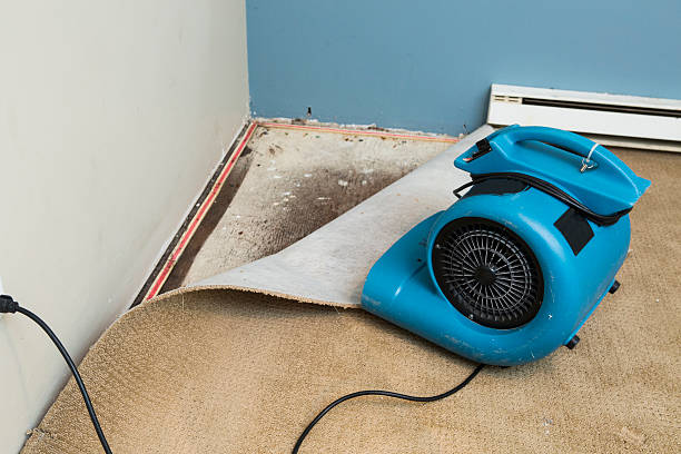 Best Water damage restoration specialists  in Lancaster, PA